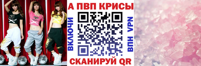 блэк спрут как зайти Жердевка А ПВП крисы CK как найти