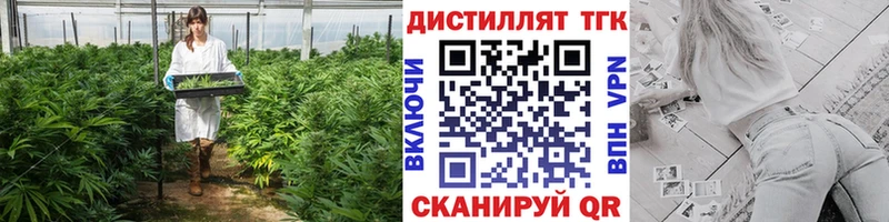 как найти   мориарти телеграм  Дистиллят ТГК THC oil  Жердевка 