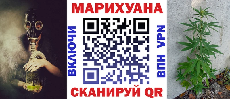 Бошки Шишки план  сколько стоит  Жердевка 